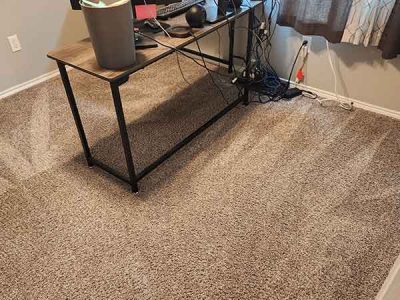 Home Carpet Cleaning
