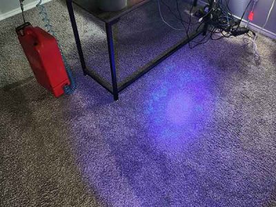 Residential Carpet Cleaning