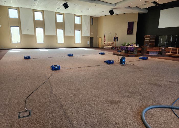 cleaning carpet 2